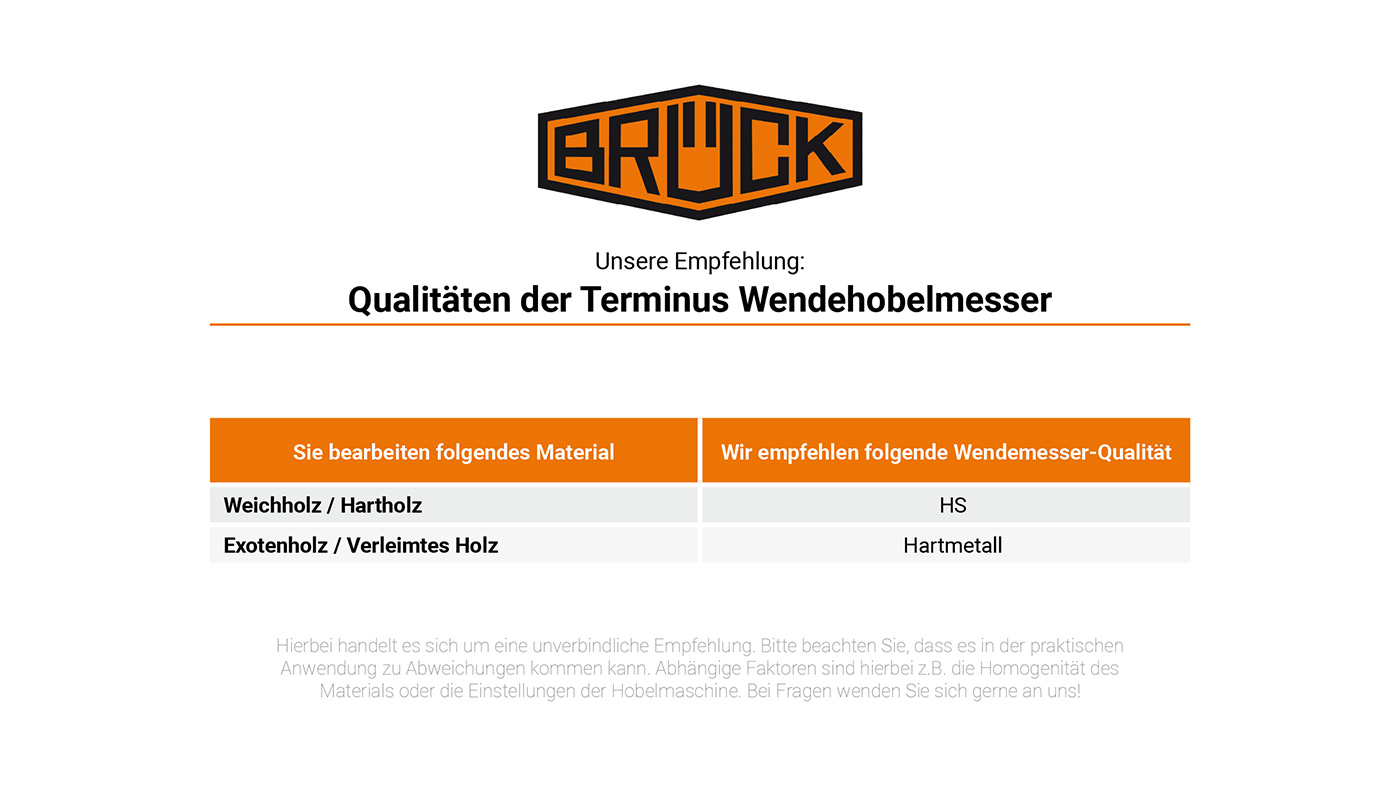 TERMINUS Hobelmesser 100 mm HS